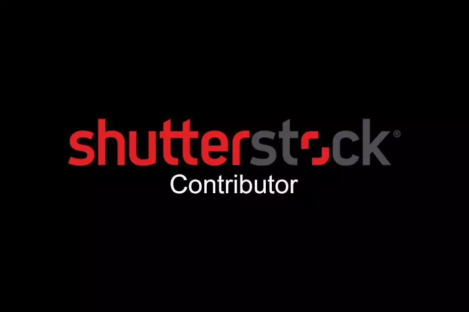 How to Become a Shutterstock Contributor (Make Money Sell Your Photos)